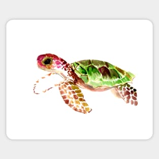 Sea Turtle Sticker